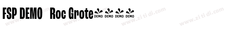 FSP DEMO   Roc Grote字体转换